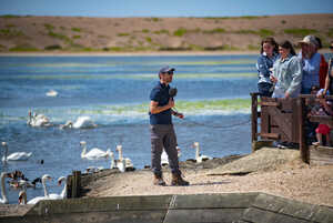 a man giving a talk about swans at abbotsbury swannery