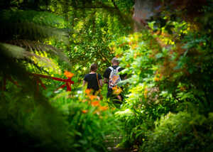 visitors exploring the subtropical gardens in summer visitors exploring the subtropical gardens in summer